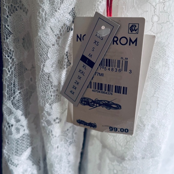 Open Edit Sheer Lace Long Sleeve Maxi Ivory Dress - Picture 16 of 16